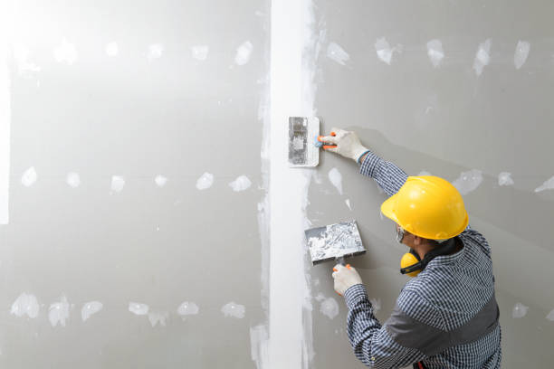 Best Mold Remediation for Rental Properties  in Oakboro, NC